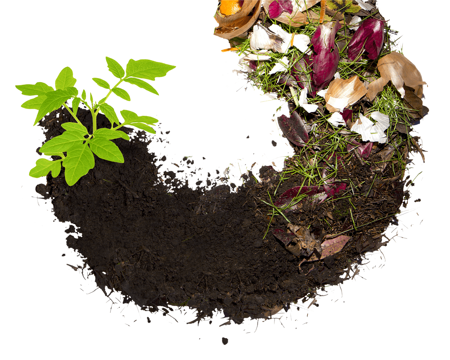 The Composting Circle of Life