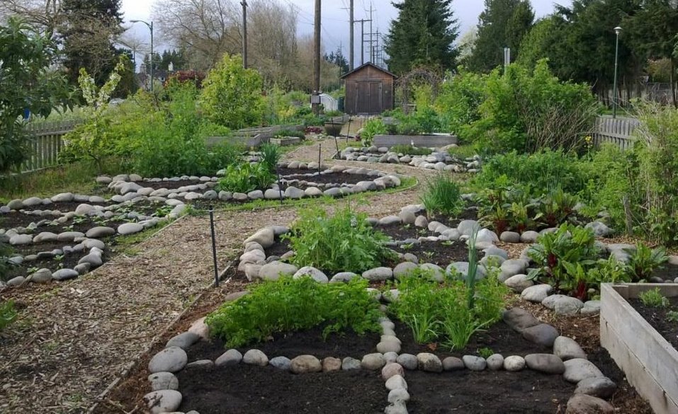Sustainable Gardening: Backyard Garden Ideas