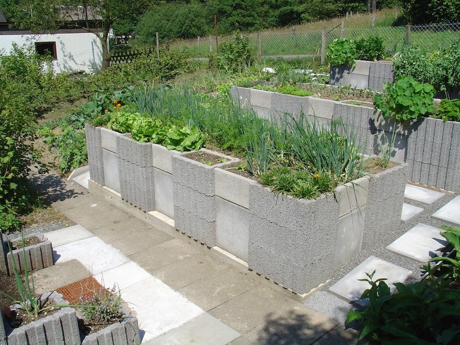 backyard garden