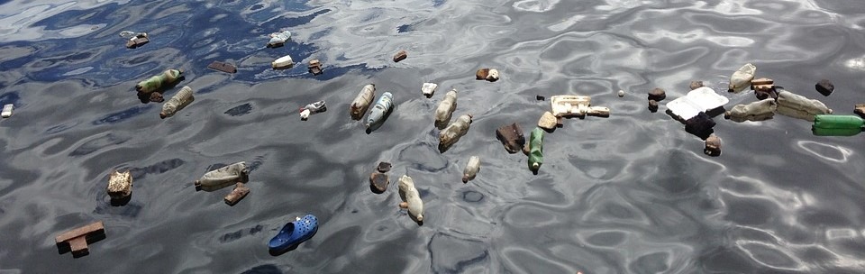Bottle-Plastic-Garbage-Environment-Water-Polluted