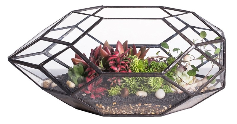 Irregular Geometric Glass Terrarium Planter for Indoor Air Plants