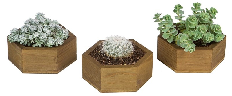 Royal Gardens Wooden Planter Pots