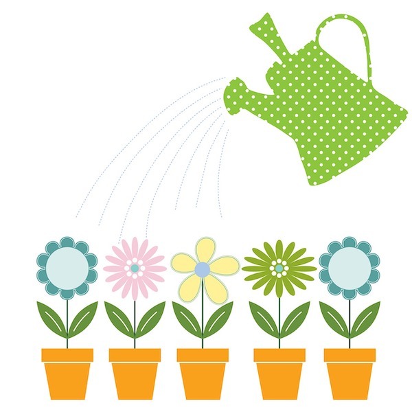 watering the plants with recycled water