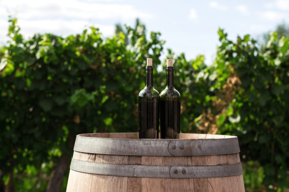 Best Organic Wine: Top 21 Sustainable Wines of 2020