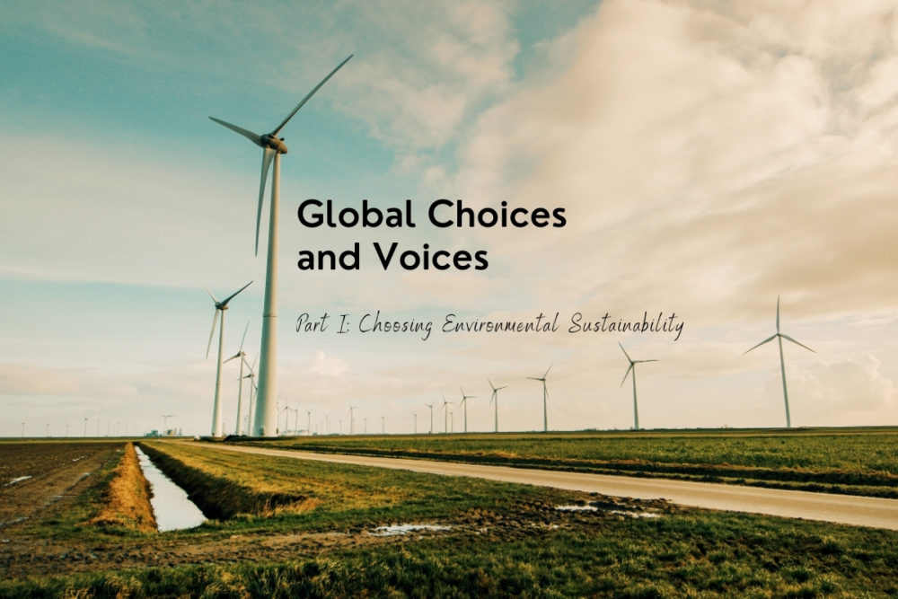 global choices environmental sustainability