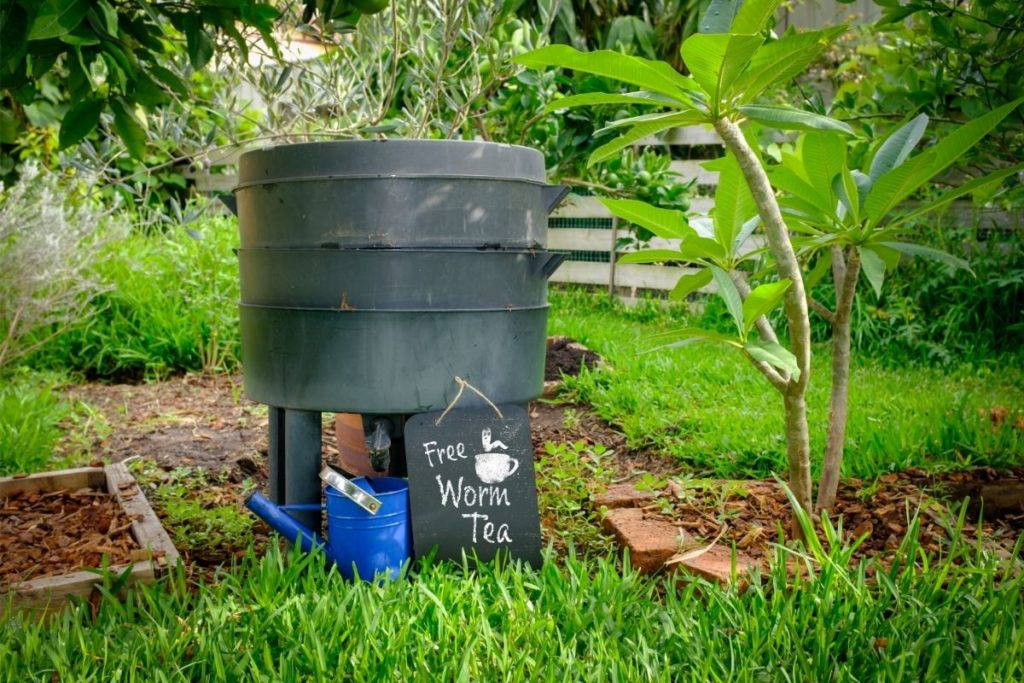 how to make compost tea